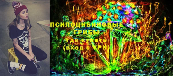 крисы Нефтекумск