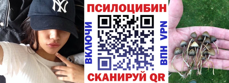 Псилоцибиновые грибы MAGIC MUSHROOMS  где купить наркотик  Новоалександровск 