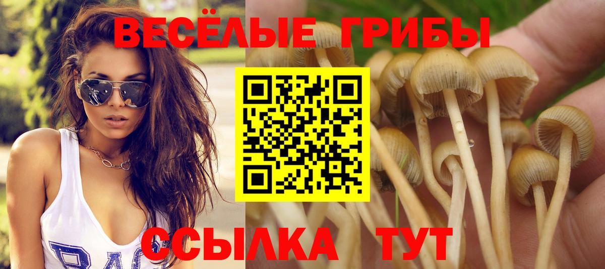 Псилоцибиновые грибы ЛСД  Вход с VPN  Новоалександровск 