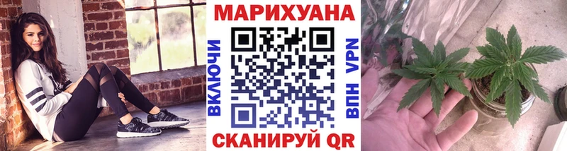 Конопля семена  где найти   Новоалександровск 