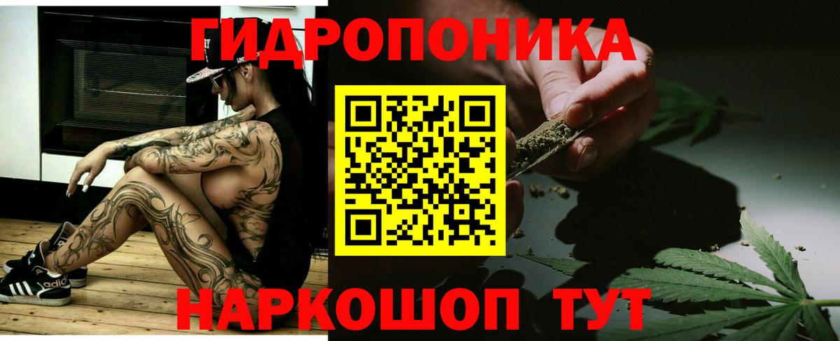 Бошки Шишки VHQ Новоалександровск